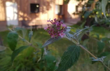 Kochstedter Wohnstuben - Wohnen mit Naturbaustoffen in der Bauhausstadt Dessau - Foto 59