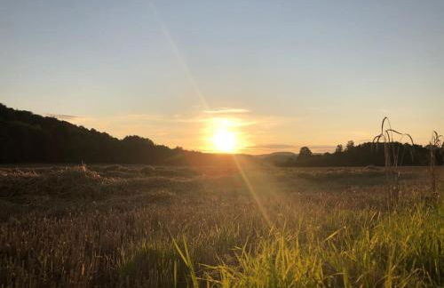 Ferienwohnung Tillmanns - Foto 35