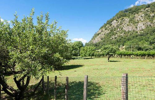 Podere Brughee - Foto 13