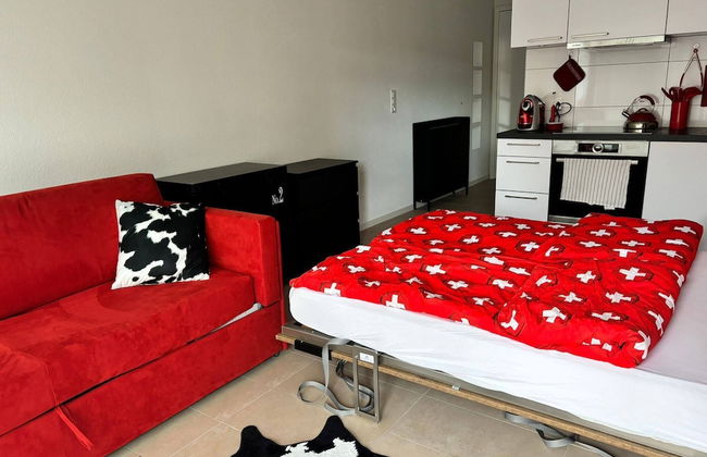 Grape Place With Washing Machine - Foto 5