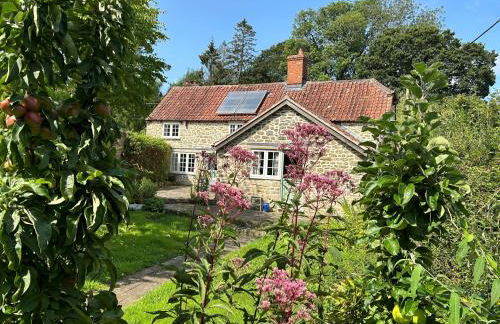 Dovehayes Cottage - Foto 23