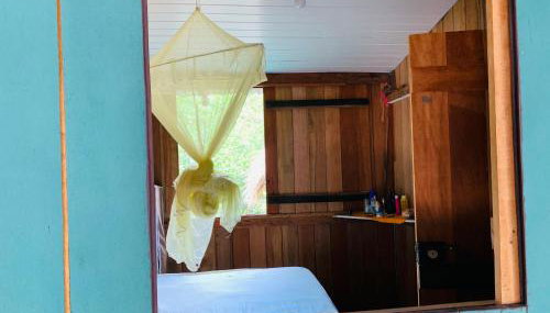 Flowmove Algodoal - Photo 3