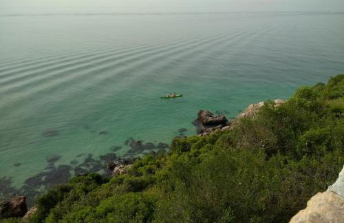 Casa dos Avós - Foto 28