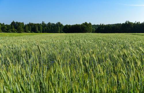 Agroturystyka u Wojtka - Foto 22