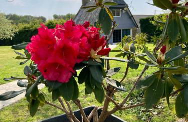 Le Clos de Kermadec - Foto 33