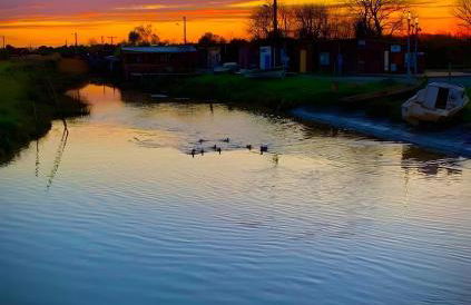 La roulotte d'alany - Foto 26