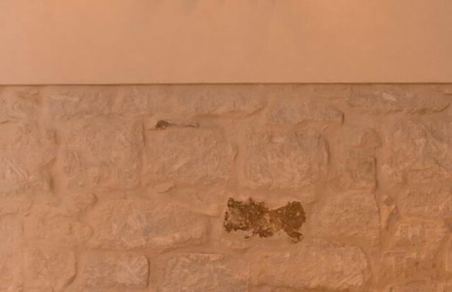 Giardini Acantus - Photo 36