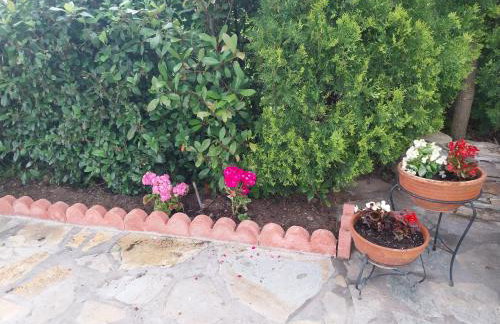 Panorama Studio Afetes - Photo 24