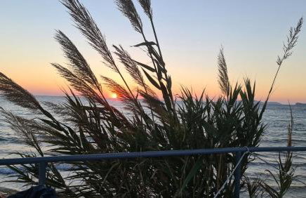 Celestine Apartment, Arillas, Korfu - Foto 11