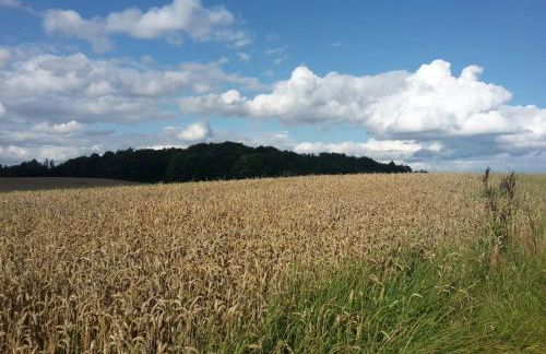 Gemütliche Fewo auf dem Resthof - Foto 19