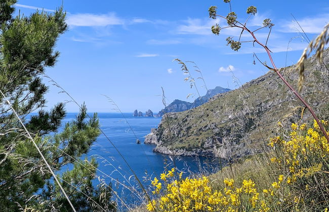 Tenuta Novecento Bio Agriturismo - Foto 45