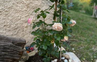 Rustic Italian House - Foto 25