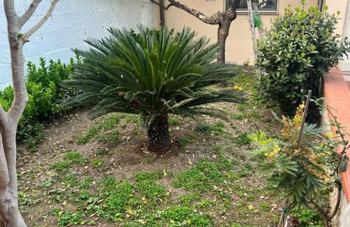 Nel giardino di Nunziatina - Photo 23