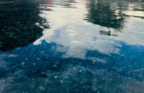 Wanderlust Guesthouse - Photo 43