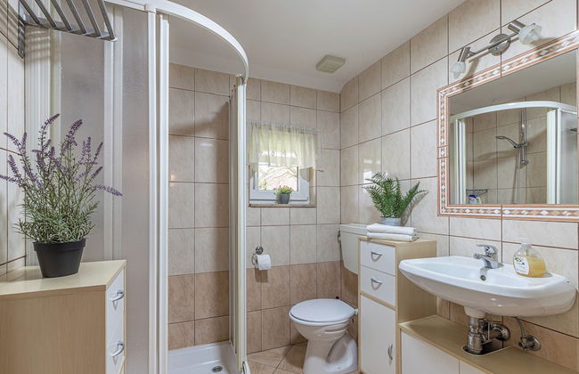 Forge Of Happiness - Foto 19