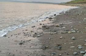 Manteg - quaint holiday cottage by the sea with direct beach access - Foto 12