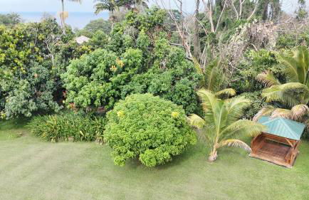 Honomu Place - Foto 75