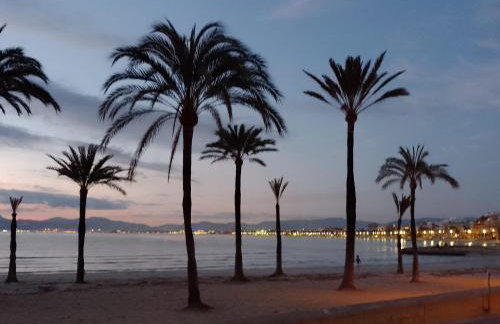 Dorada Relax - Foto 11