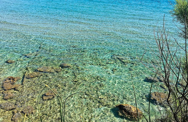 Tenuta Vigna Corallo - Foto 63