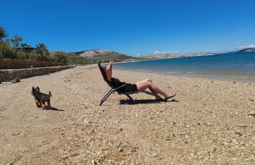 Izzi Mobile Home - Terra Park SpiritoS - Photo 30