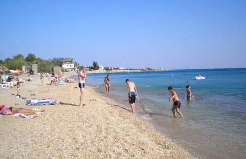 Apollon (ex. Albatros) - Foto 45