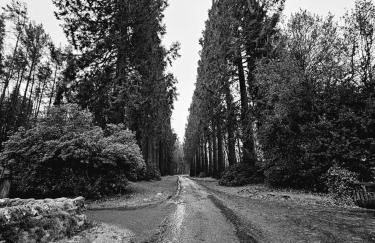 Lakewood Courtyard Northumberland - Foto 27
