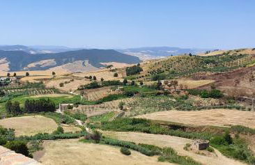 Angela's Apartment. Elegant two bedroom house in Irsina - Foto 67