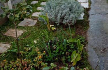 Kaleta apartman - Foto 51