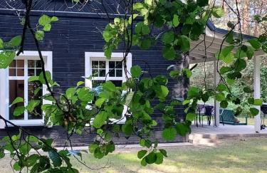 Czarny Dzięcioł - Foto 12