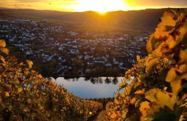 Garden Eden - Foto 40