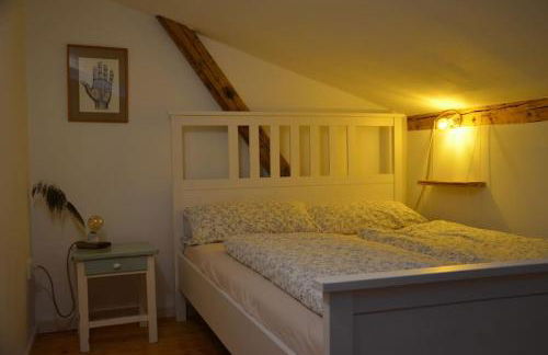 Ferienhaus Hof Papenwohld - Naturpark, Gartensauna - Foto 49