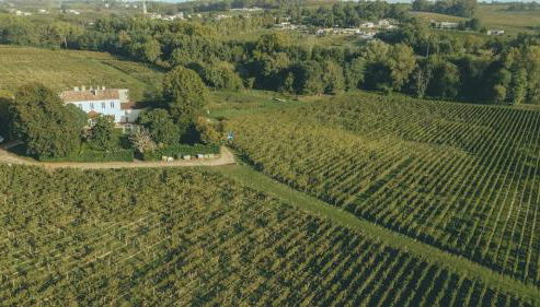 Bordeaux, Gironde, Océan - Gîte au coeur des vignes - Foto 2