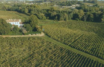 Bordeaux, Gironde, Océan - Gîte au coeur des vignes - Foto 2