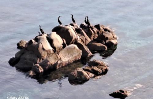 Villa Sortis and boat - Photo 71