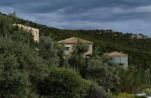 Melolia Estate - Photo 66