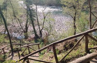 Casolare Puccini - Foto 14