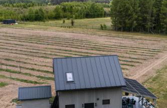 Okno na winnicę - Foto 44