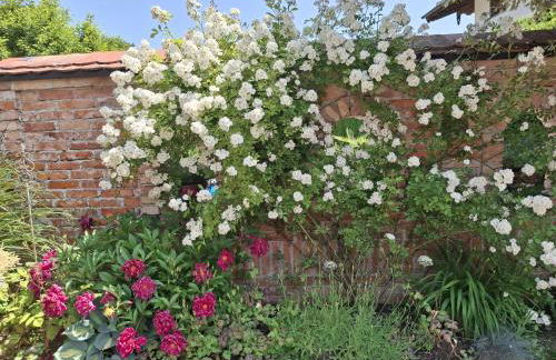 Ferienwohnung Just - Photo 7