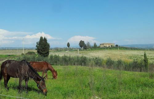 Agriturismo Macinatico 1 - Foto 96