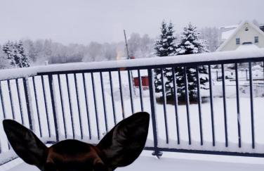 Wiejski Dom w Karkonoszach - Foto 29