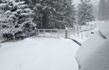 Apartman Biba i Rudi - Foto 10