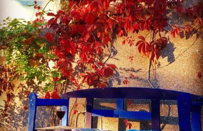 Kornspeicher Himmelpfort - Foto 20