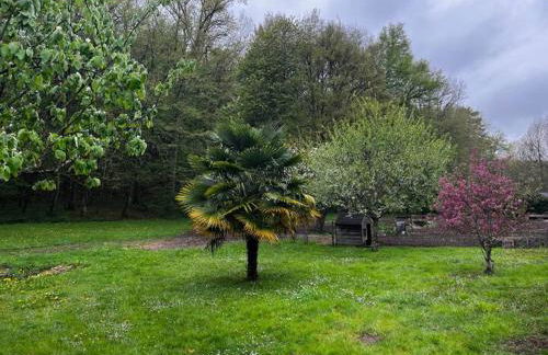 Altanka, Maison, calme au milieu de la nature près de Beauval, Chenonceau et autres chateaux de la Loire - Foto 45
