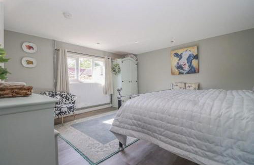 Gorgeous rural dog welcoming Milk Churn - Suffolk - Foto 15