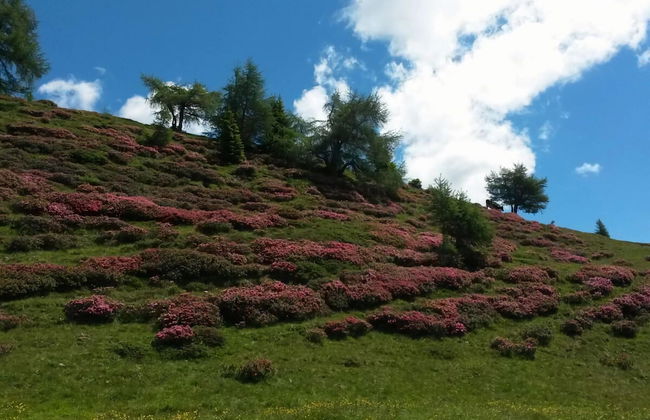 Apartment Carpe Diem - Foto 33