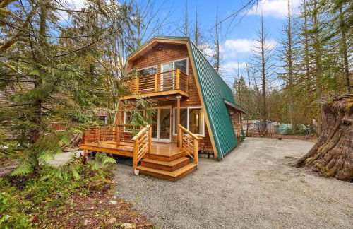 Wild Dog Cabin - Photo 1