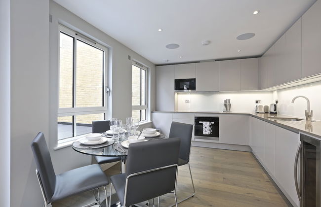 Lux St James Park Apartment Central London FREE WIFI by City Stay Aparts London - Foto 29