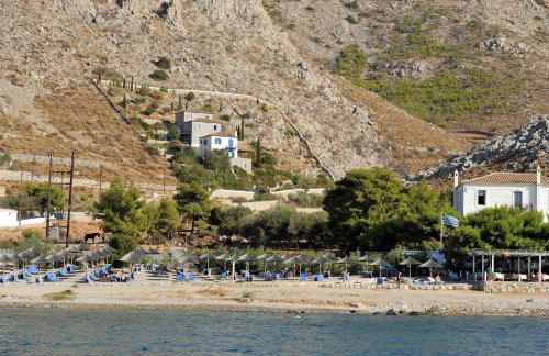 Hydra Erato - Foto 30