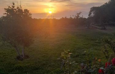 "Villa Othon-Leni" - Panoramic Sea View & Traditional Luxury - Photo 23