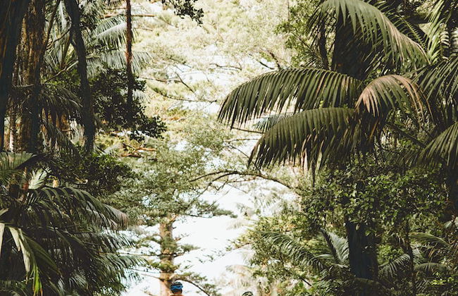 Lorhiti Apartments - Foto 18